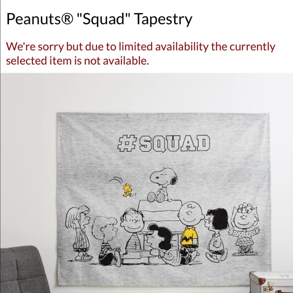 Pottery Barn Teen Peanuts Charlie Brown and Gang “Squad” Cotton Wall Tapestry - Picture 13 of 13